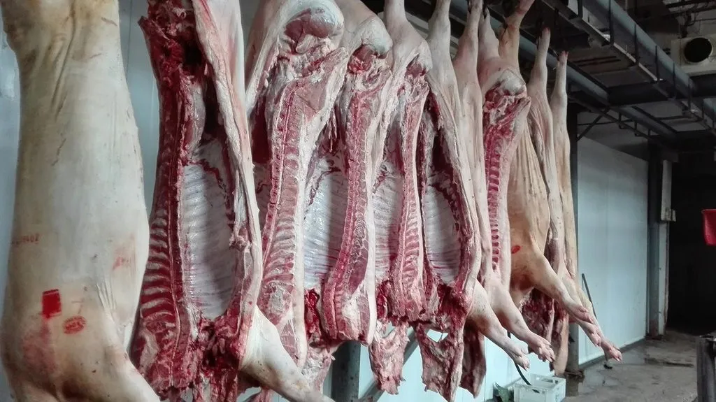 мясо  Свинины в Кемерове