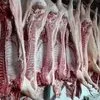мясо  Свинины в Кемерове