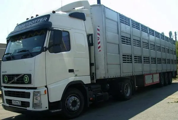перевозка сельскохозяйственных животных в Самаре