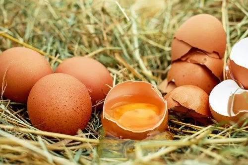 Из Кузбасса в Монголию отправили свыше 2 млн яиц