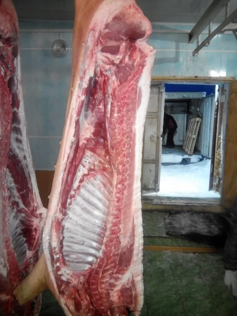 продаю Алтайскую свинину в Барнауле