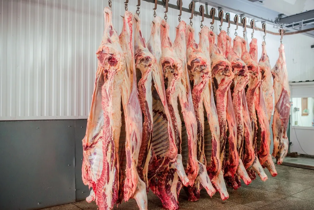 фотография продукта Мясо говядины н/к Кемерово и область