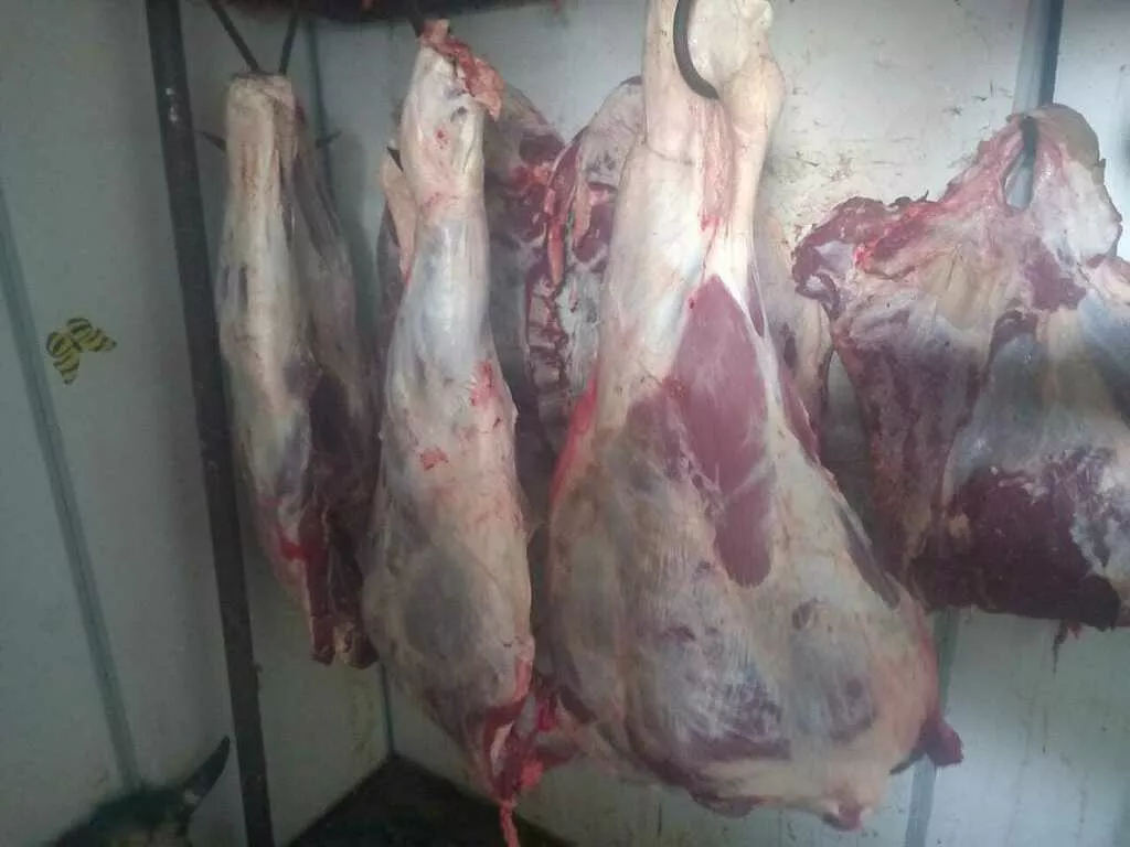 телятина, говядина, баранина, свинина в Кемерово и Кемеровской области 9